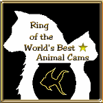 
                        Ring of the World's Best Animal Cams